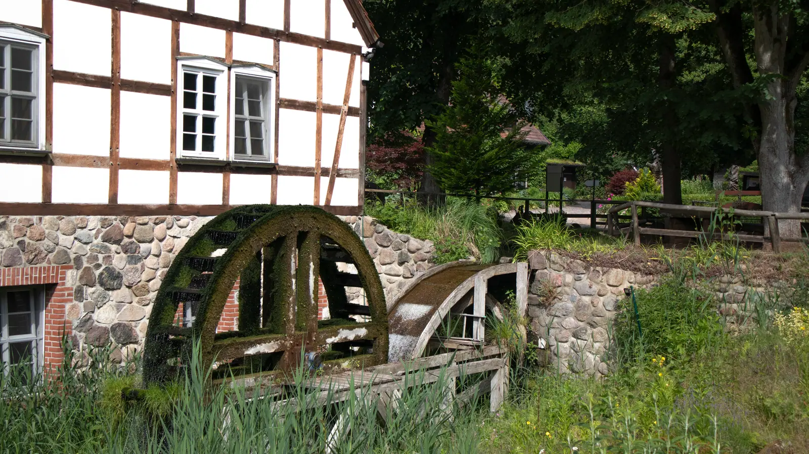 Ruota del mulino ricoperta di muschio presso la Boltenmühle, accanto a una facciata a graticcio con base in pietra, circondata da alberi e vegetazione verde lungo la riva.